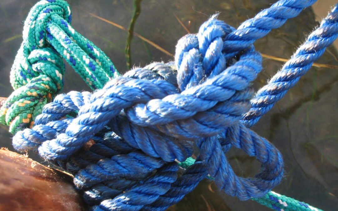 Coming out of frozen